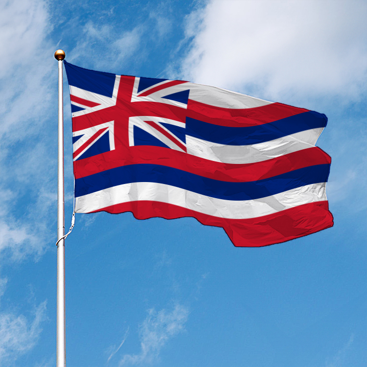 Hawaii State Flag